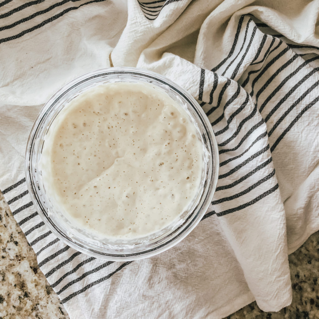 fed, bubbling sourdough starter on counter with striped tea towel